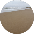 T Grains profile picture